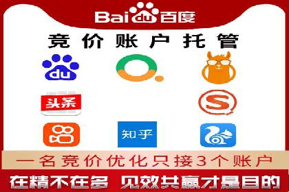 竞价SEM托管服务如何助力企业提升ROI